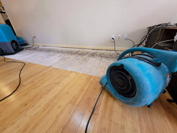 Professional Basement Flood Cleanup technician working in Shreve, OH
